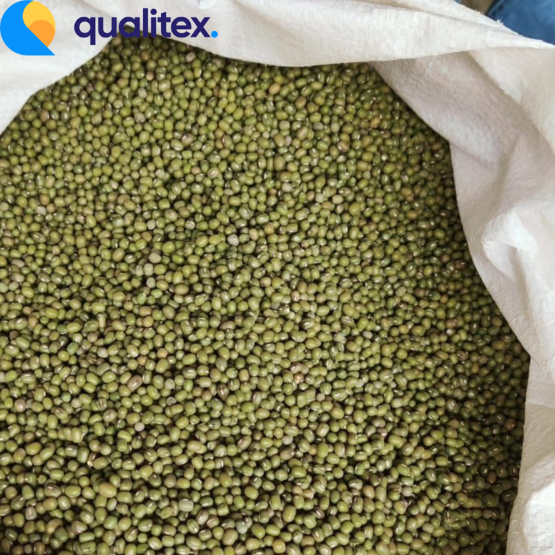 Mung bean for sprout