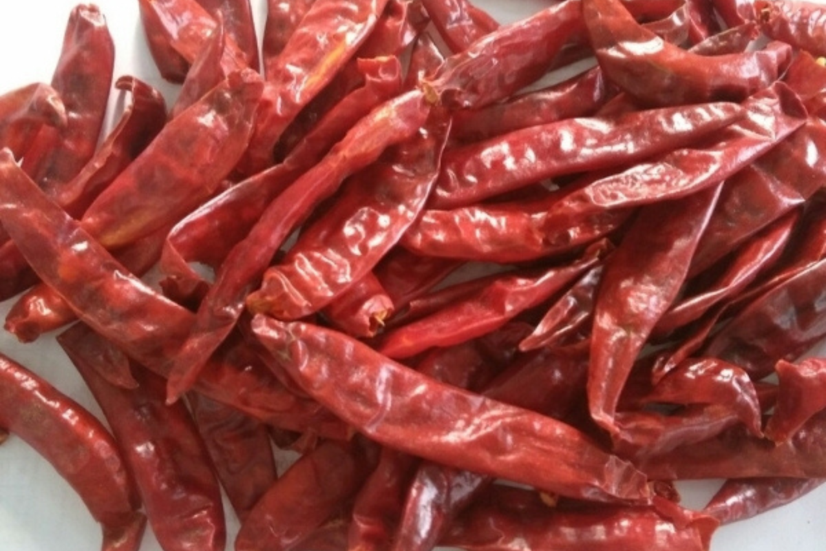 Red chili export from vietnam