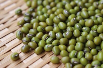 mung bean