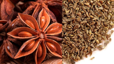 star anise vs anise seed