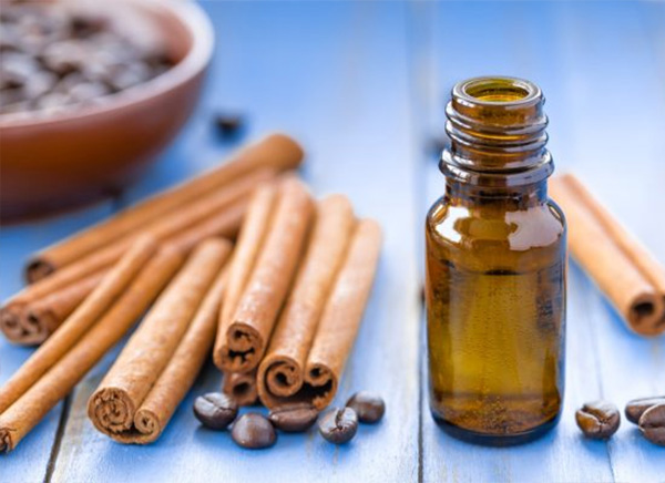 Cinnamon Bark Oil